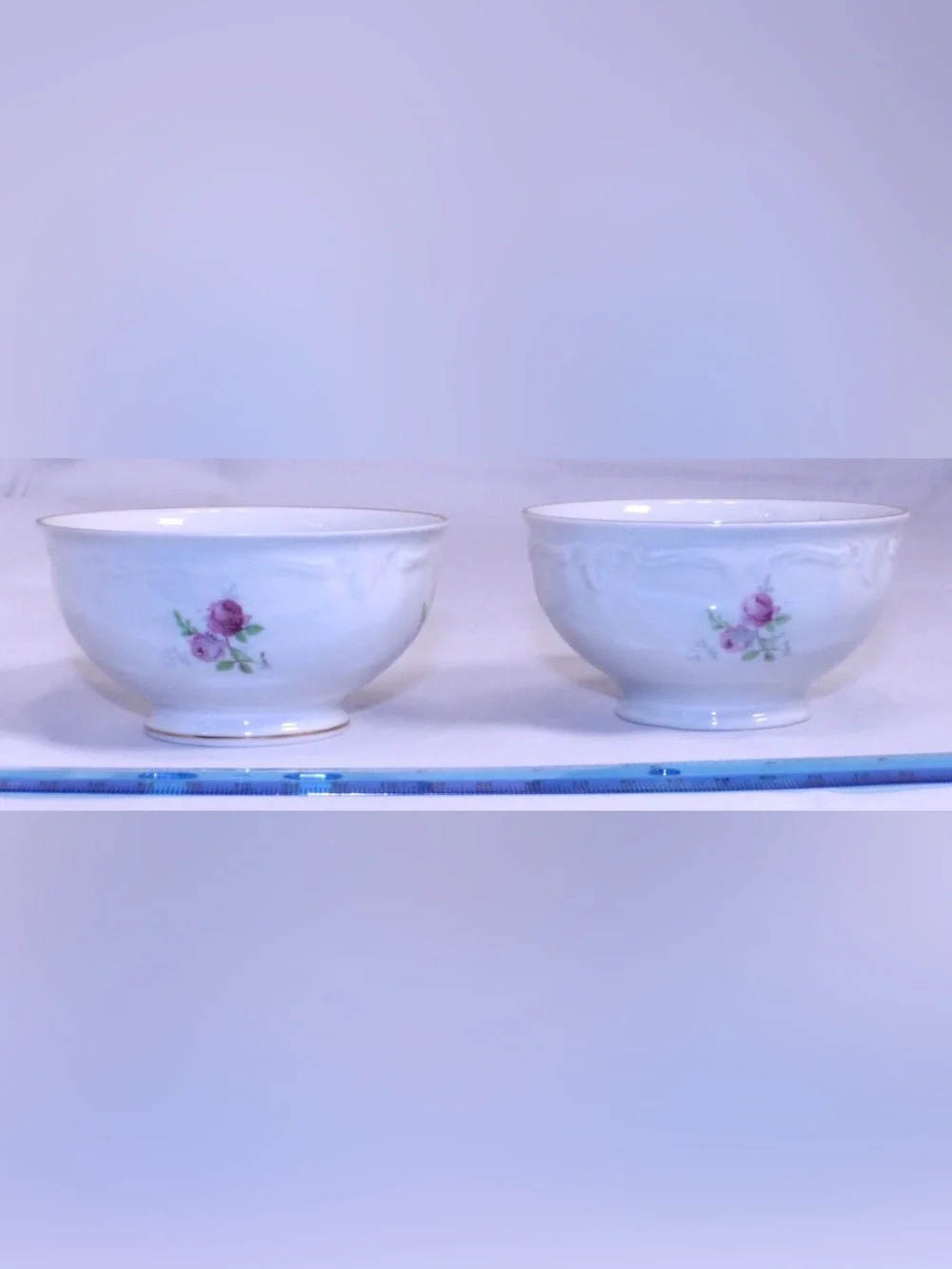 Winterling Bavaria China delicate sprays handle